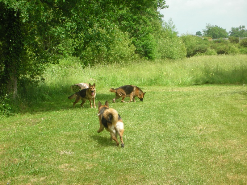 Publication : De l'anneau d'or