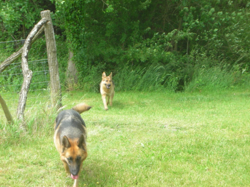 Publication : De l'anneau d'or