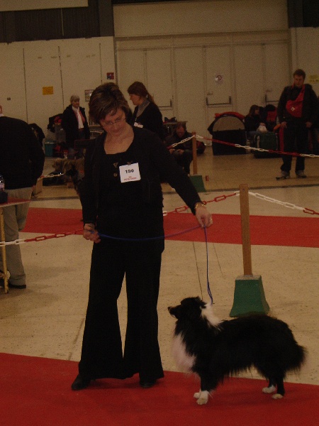 Eclair noir du Grand Pre D'Ortignac - 1 er classe intermédiaire Excellent