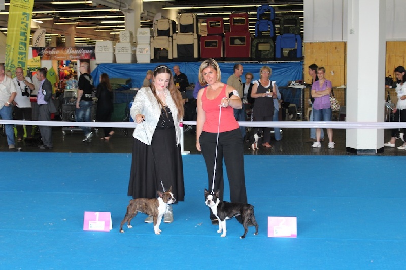 Farah fawcett Du grand fresnoy - 2ème EXC