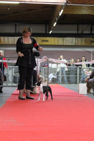 Farah fawcett Du grand fresnoy - 2ème EXC