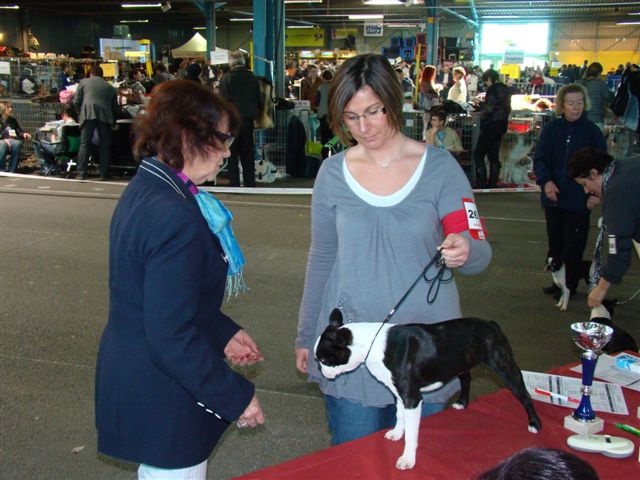 Farah fawcett Du grand fresnoy - Très prometteur : Puppy