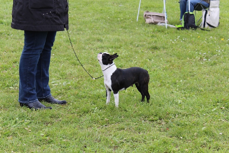 Farah fawcett Du grand fresnoy - 3ème EXC