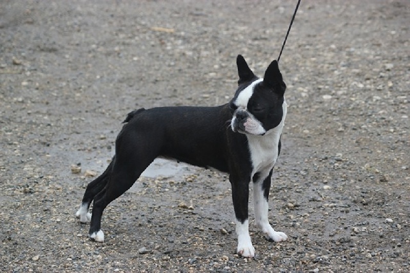 Hip hip hip houra Du grand fresnoy - 1er EXC Meilleur jeune