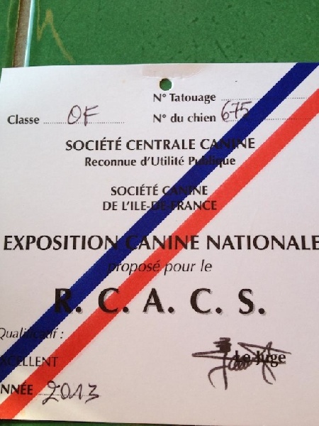 Farah fawcett Du grand fresnoy - 2ème EXC