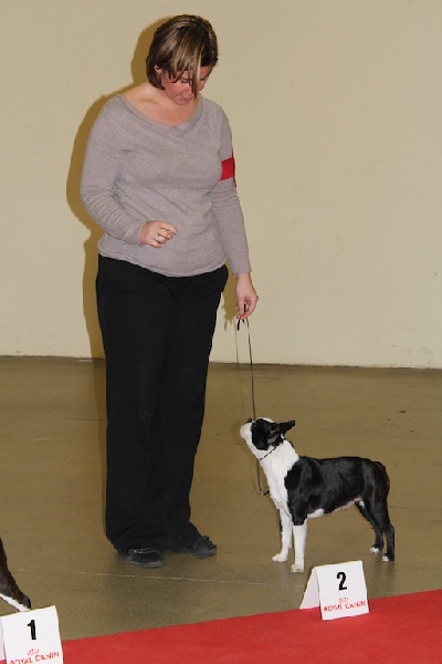 Farah fawcett Du grand fresnoy - 2ème EXC