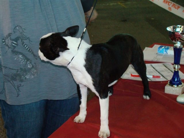 Farah fawcett Du grand fresnoy - 2ème Exc