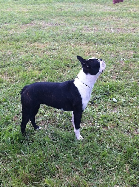 Farah fawcett Du grand fresnoy - 2ème EXC