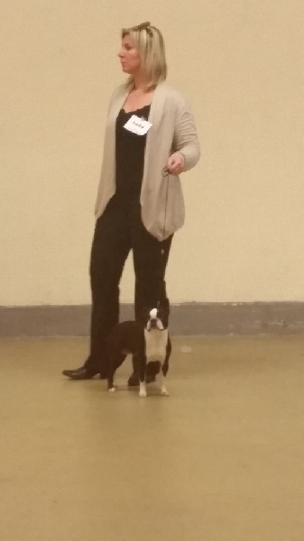 Hip hip hip houra Du grand fresnoy - 2eme Excellent classe ouverte