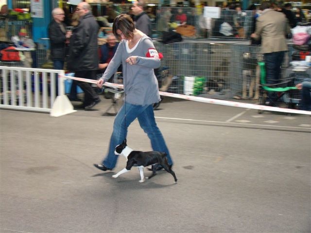 Farah fawcett Du grand fresnoy - très prometteur : Puppy