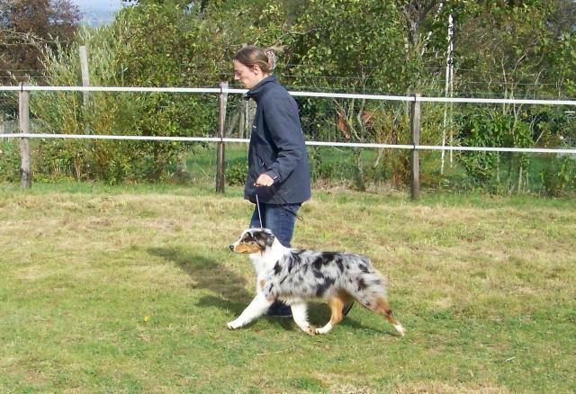 Baïka blue Du Paradis Sauvage De Menestruel - 2ème Très Prometteur