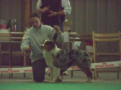 Baïka blue Du Paradis Sauvage De Menestruel - Excellent - non classé