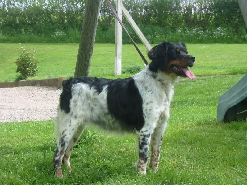 Publication : De la plaine marat