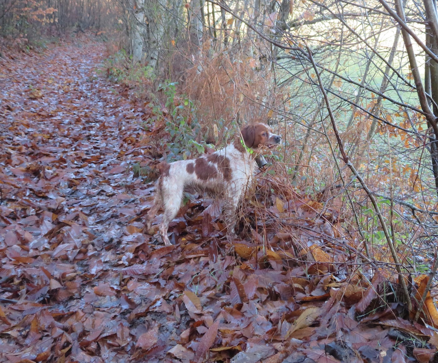 Vulcain De la plaine marat