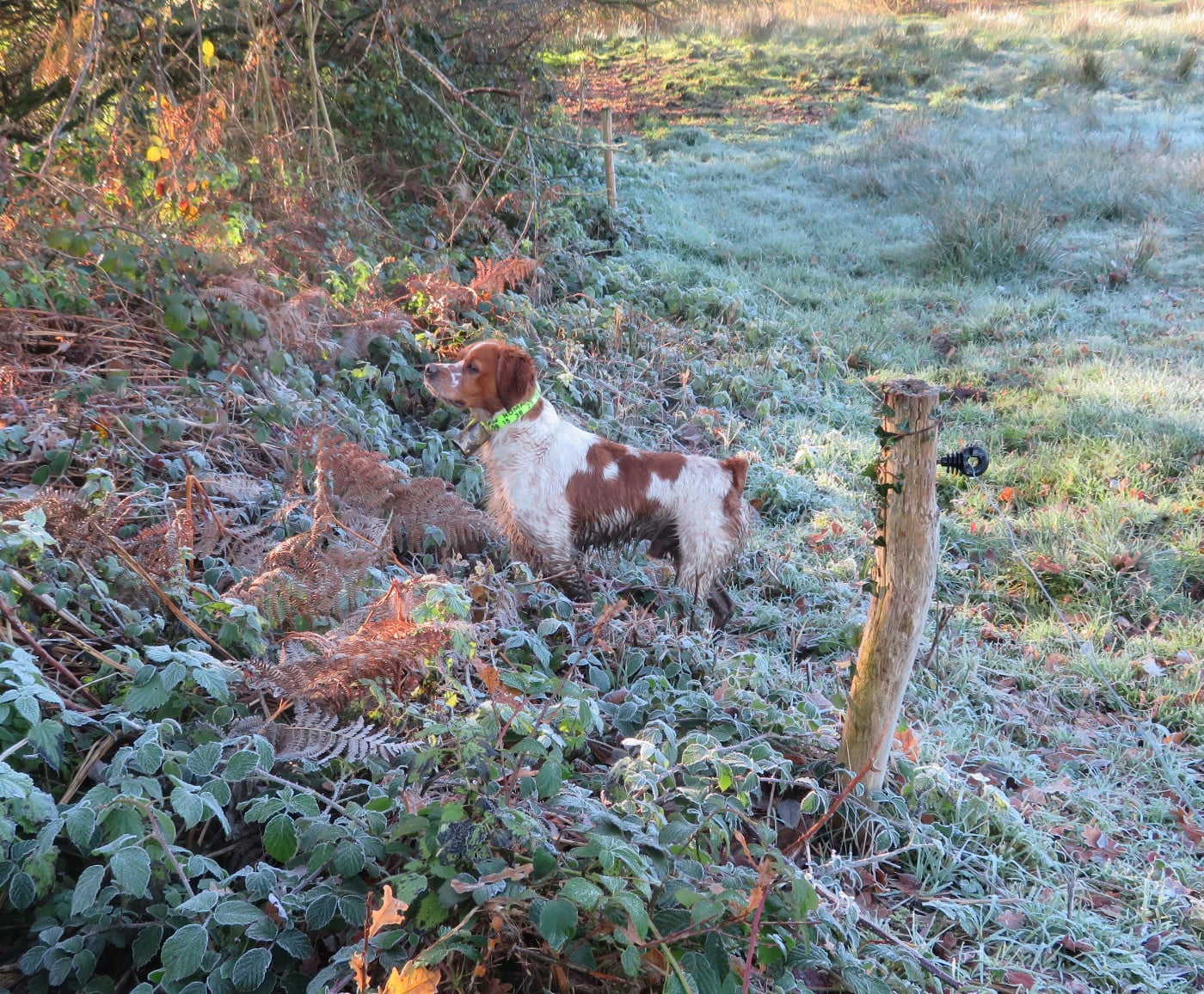 Vulcain De la plaine marat