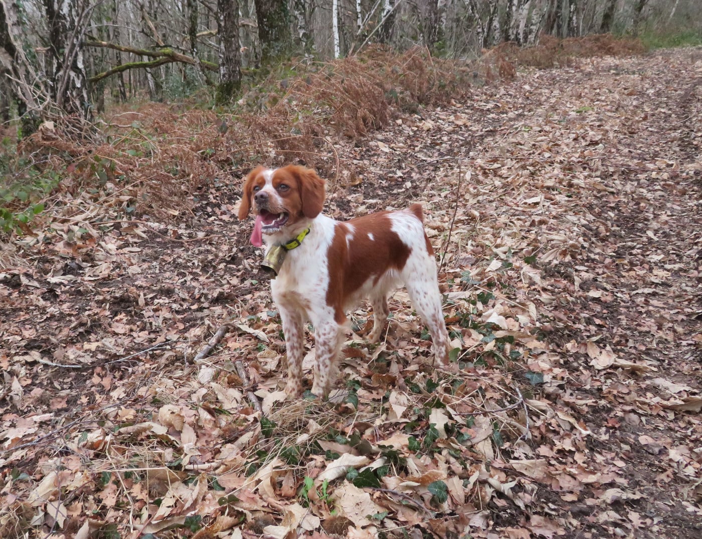 Valma De la plaine marat