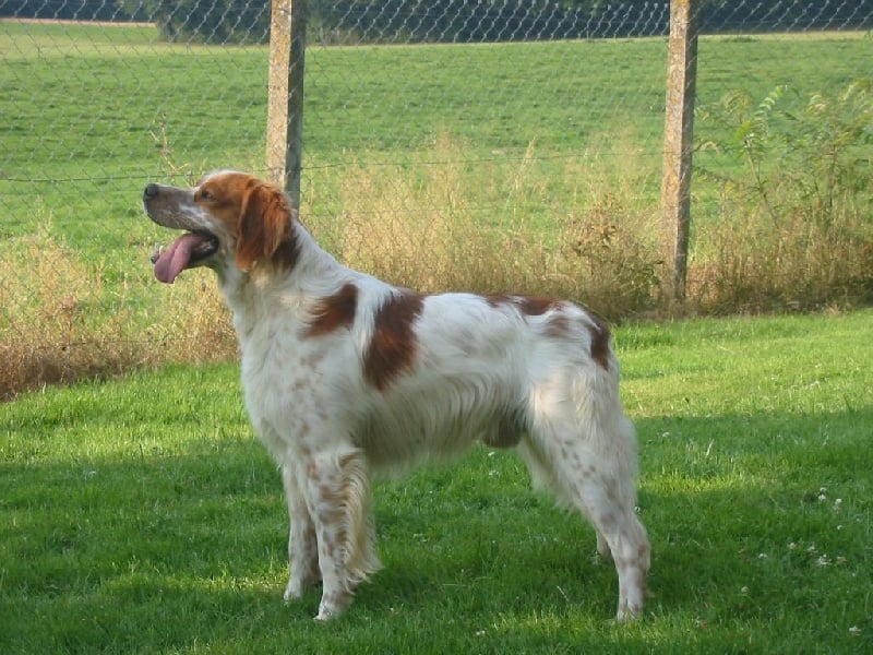 Publication : De la plaine marat