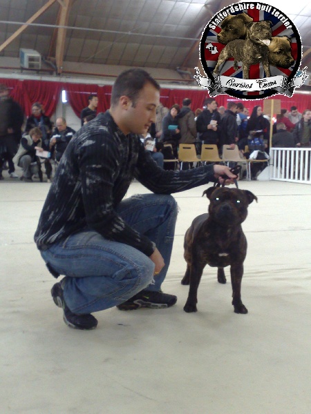 Deïron Von melkev kamp - 3ème EXCELLENT // Cl. Inter