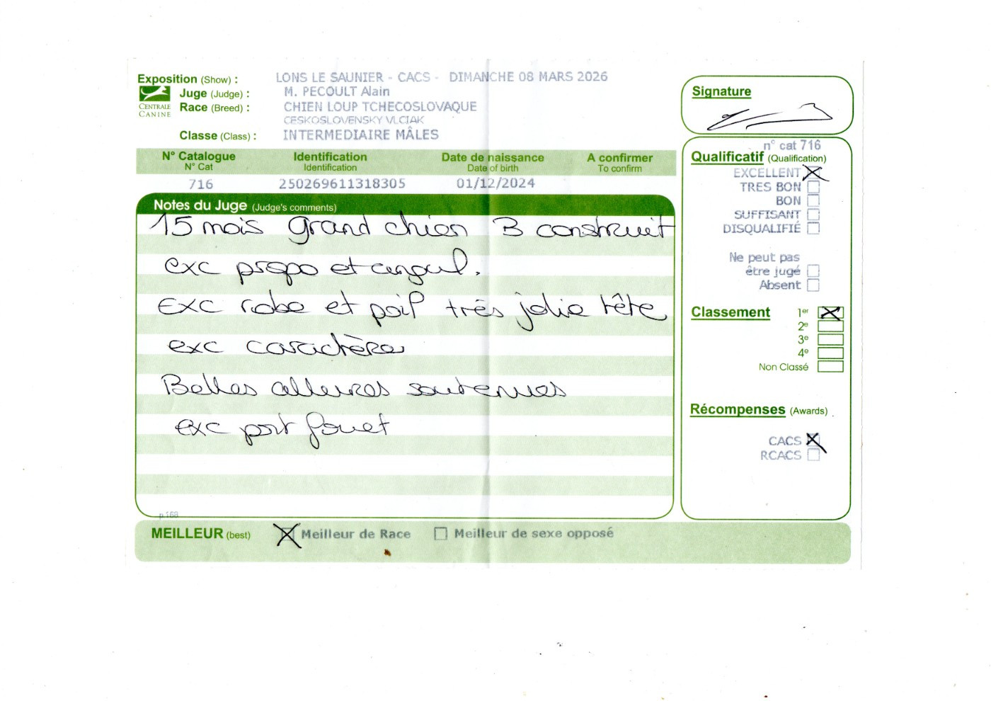 Vah'al noosh pal-kyss de la mollyniere de lo'scale - 1er Exc - CACS - Meilleur de Race