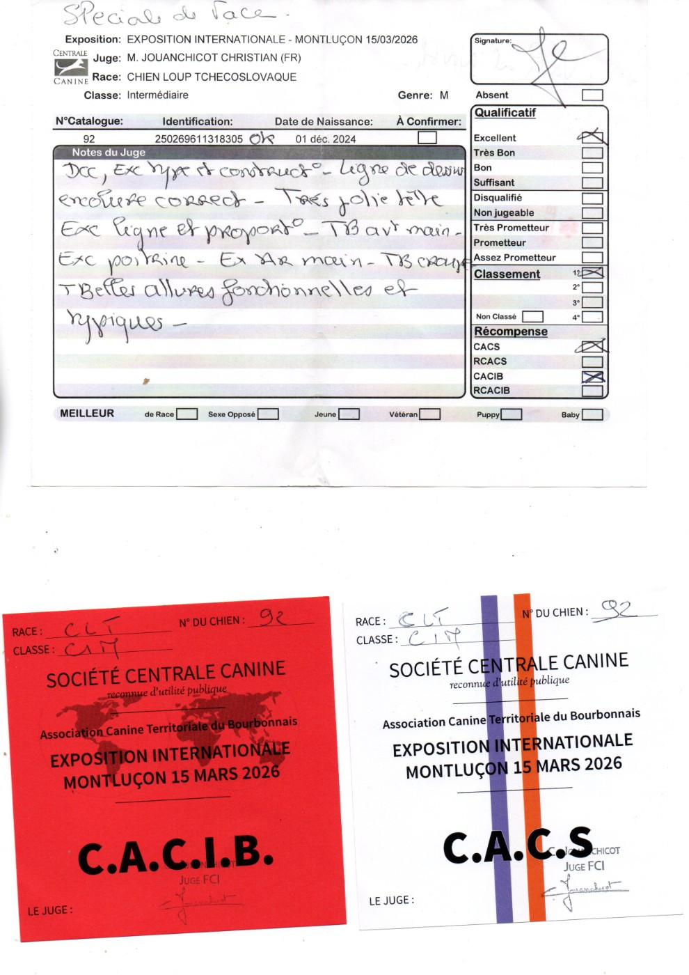 Vah'al noosh pal-kyss de la mollyniere de lo'scale - 1° Exc, CACS - CACIB