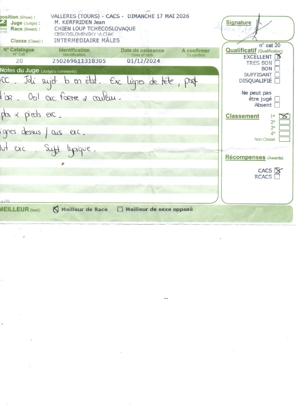 CH. Vah'al noosh pal-kyss de la mollyniere de lo'scale - 1° Excellent CACS - Meilleur de Race