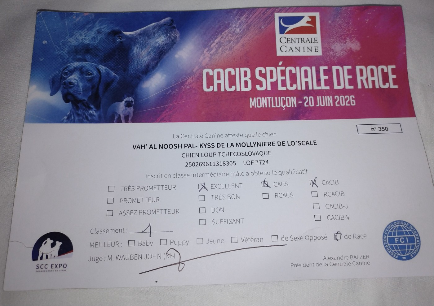 CH. Vah'al noosh pal-kyss de la mollyniere de lo'scale - 1er Excellent - CACS - CACIB - Meilleur de Race