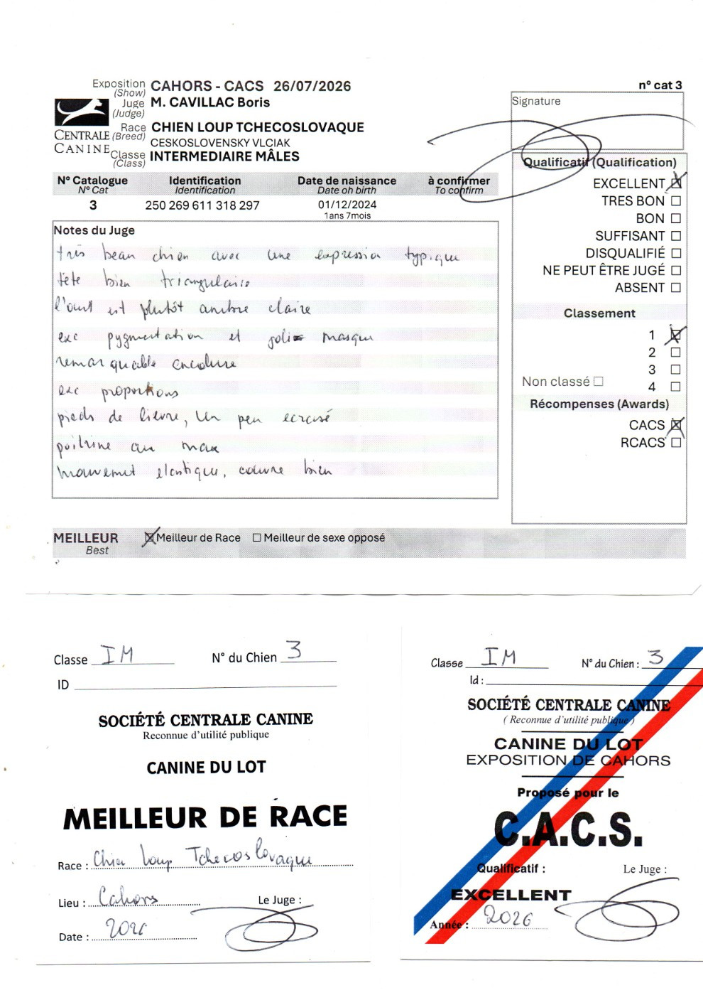 Vah' al roggh pal-kyss de la mollyniere de lo'scale - 1° Excellent CACS - Meilleur de Race