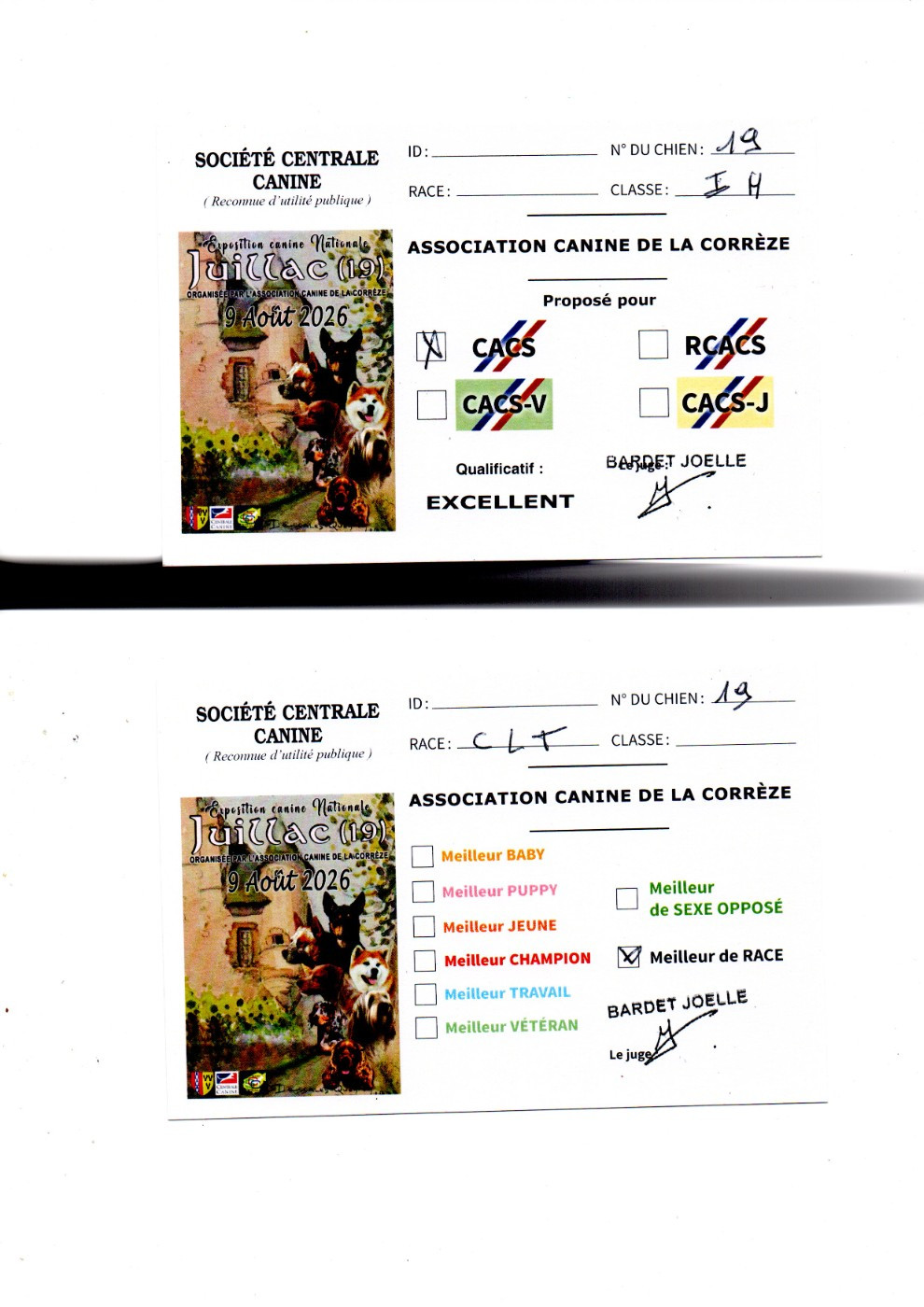 CH. Vah'al noosh pal-kyss de la mollyniere de lo'scale - 1° Excellent CACS - Meilleur de Race