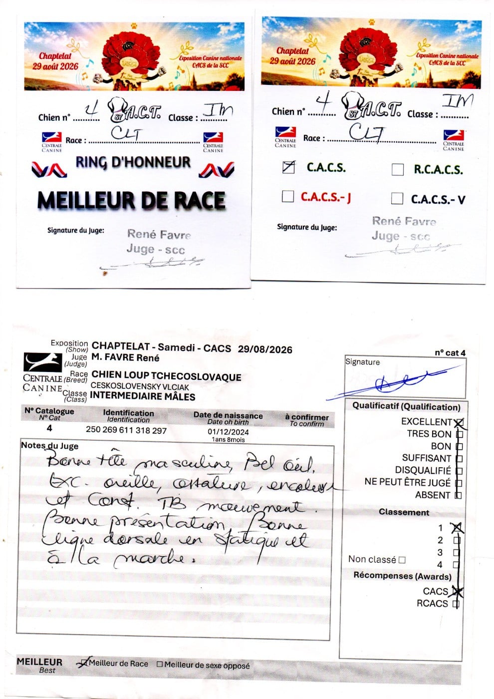 Vah' al roggh pal-kyss de la mollyniere de lo'scale - 1er Exc - CACS - Meilleur de Race