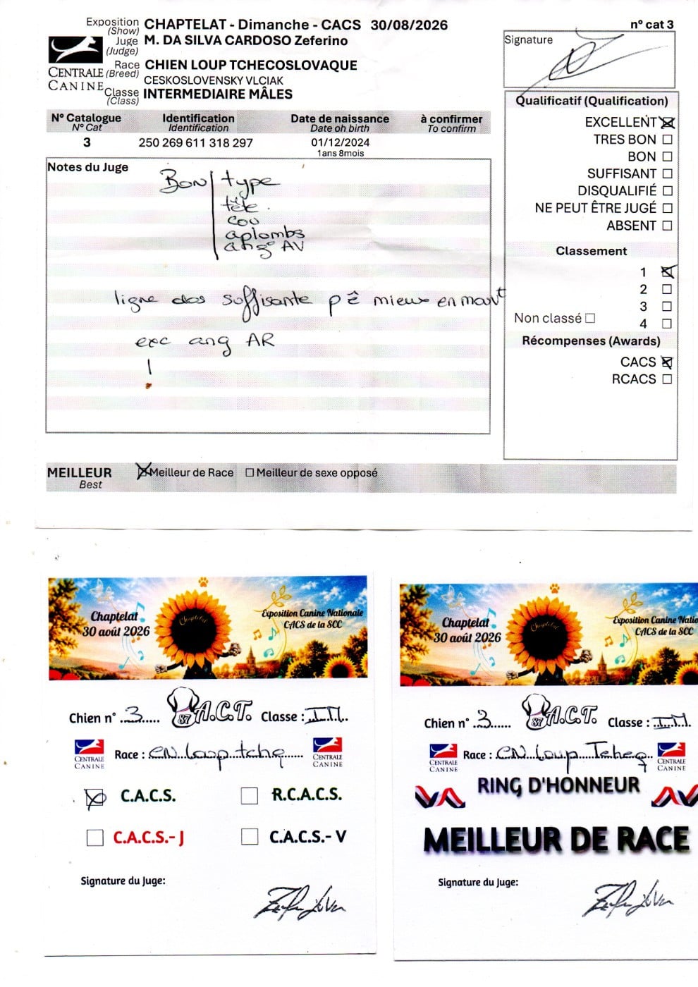 Vah' al roggh pal-kyss de la mollyniere de lo'scale - 1er Exc - CACS - Meilleur de Race
