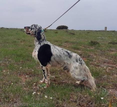 Publication : des Cabanes Tchanquées Auteur : AVRIL DAVID