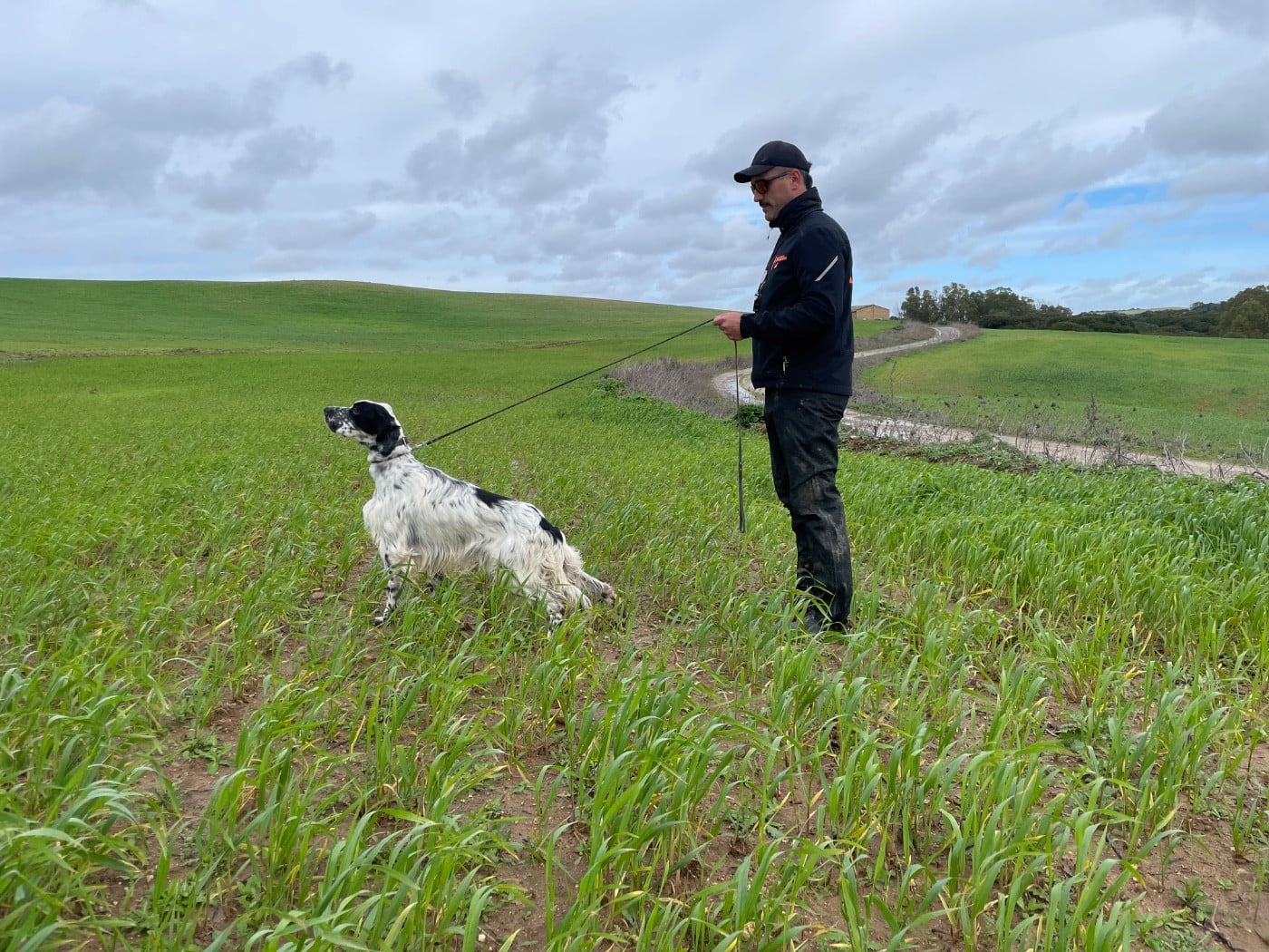 TR. Venom des Cabanes Tchanquées