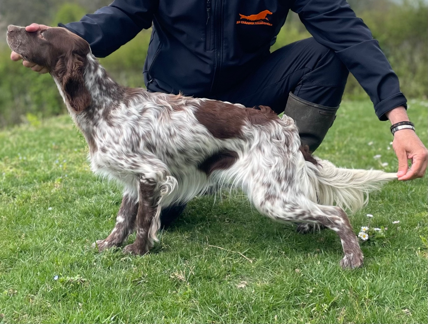 Publication : des Cabanes Tchanquées Auteur : DAVID AVRIL