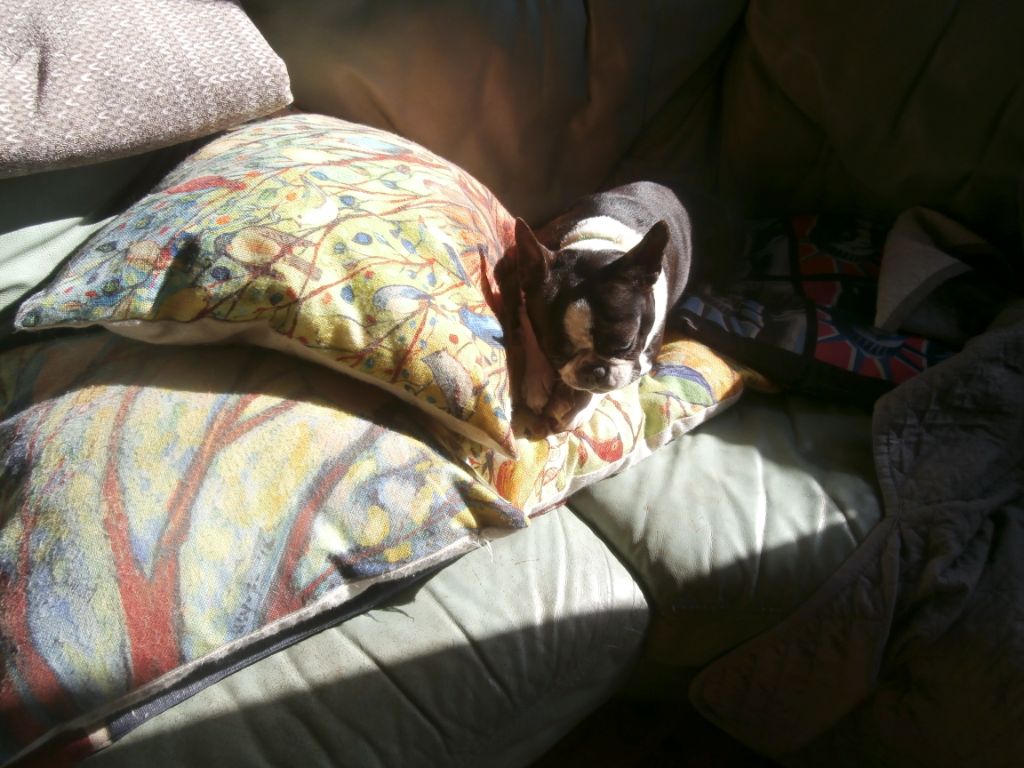 Publication : du Monde de Pierr-Malou