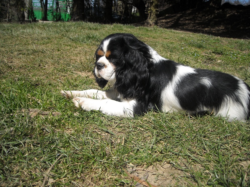 Publication : du Monde de Pierr-Malou Auteur : marie lou braymand