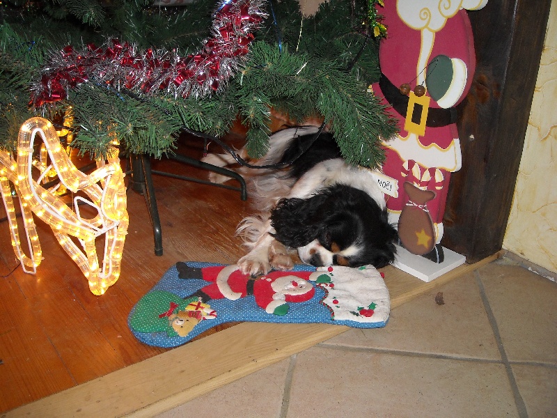 Publication : du Monde de Pierr-Malou Auteur : marie lou braymand