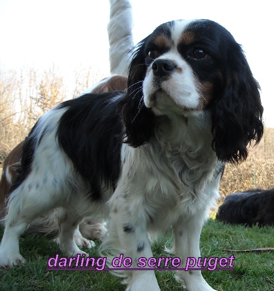 Publication : du Monde de Pierr-Malou Auteur : marie lou braymand