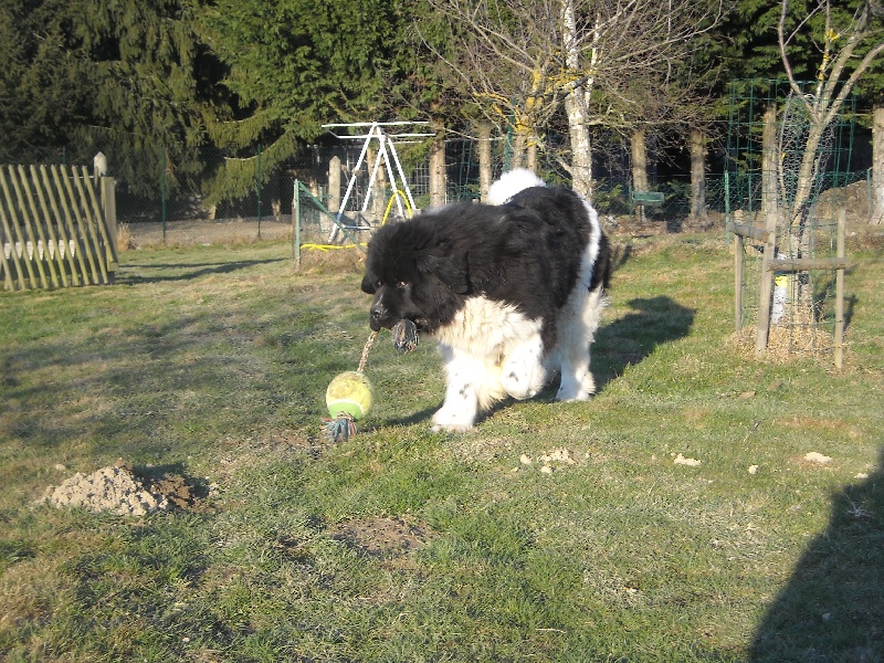 Publication : du Monde de Pierr-Malou Auteur : braymand