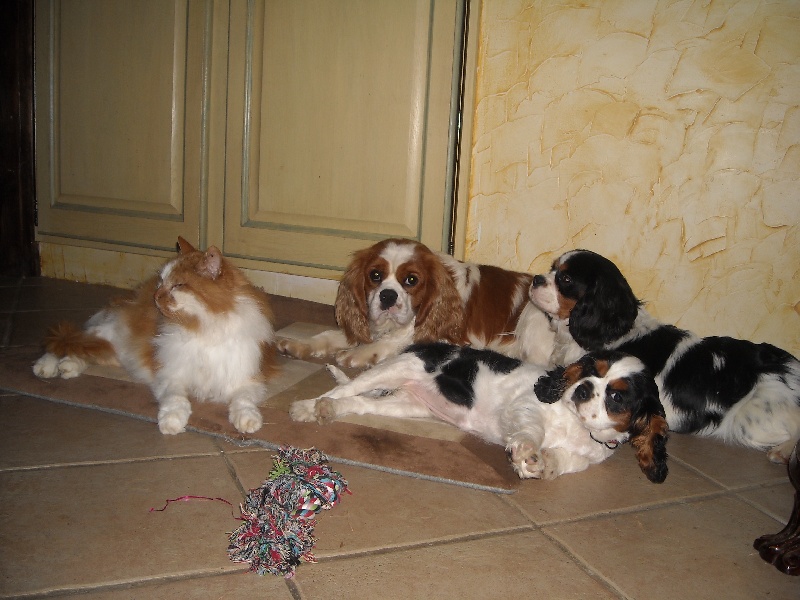 Publication : du Monde de Pierr-Malou Auteur : marie lou braymand