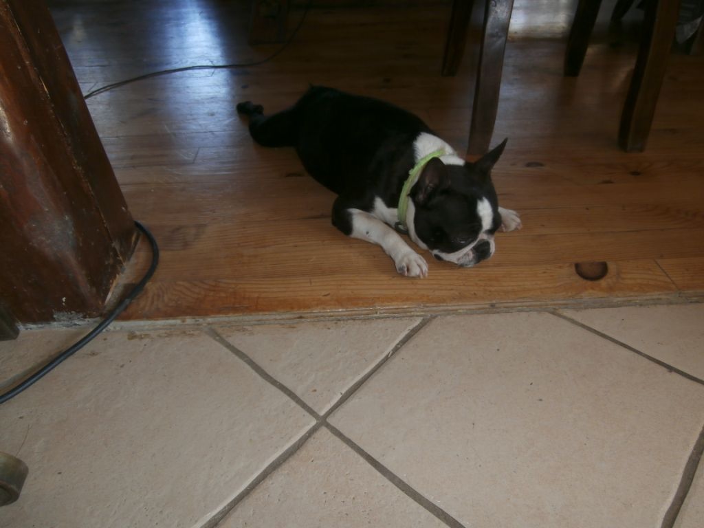 Publication : du Monde de Pierr-Malou