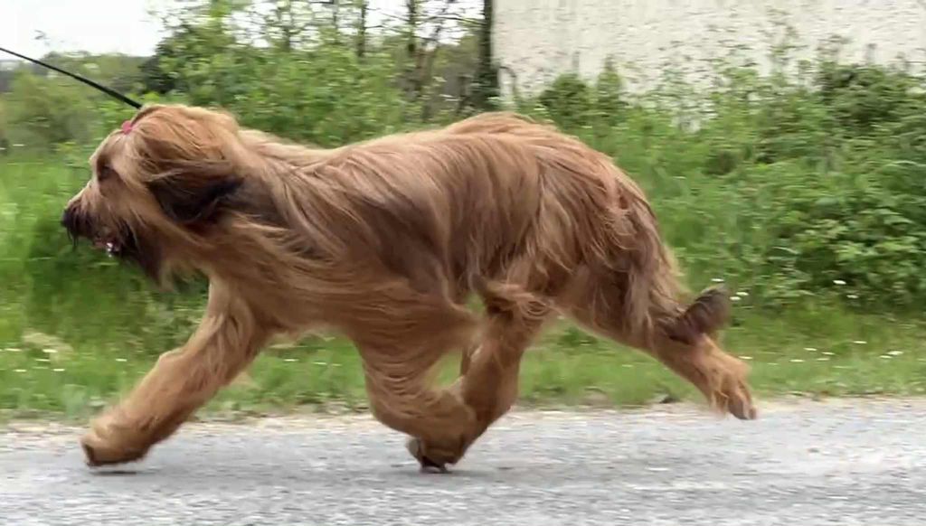 zhamanen Aurora borealis