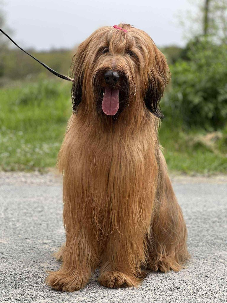 zhamanen Aurora borealis