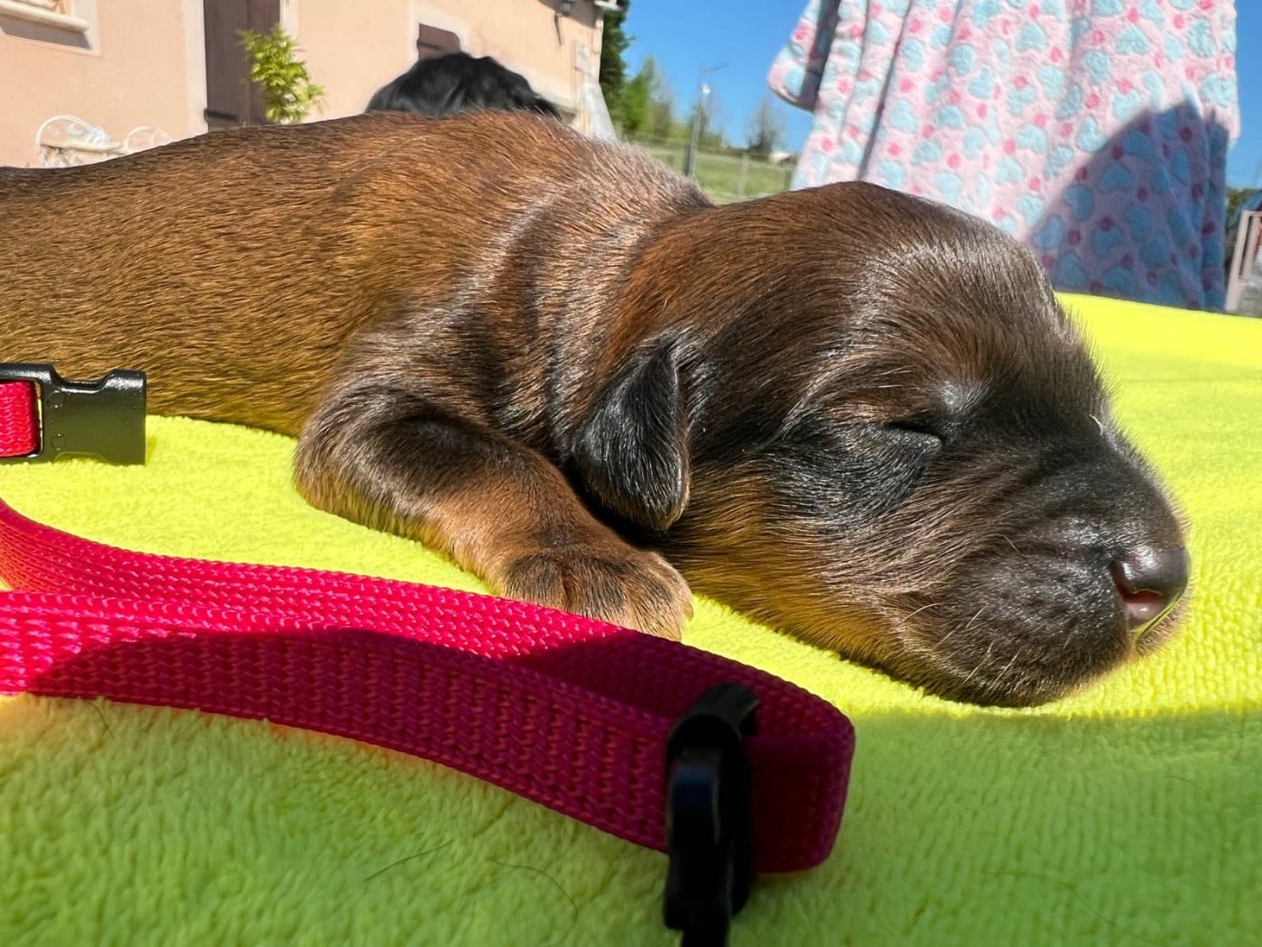 Boo keepsake signature