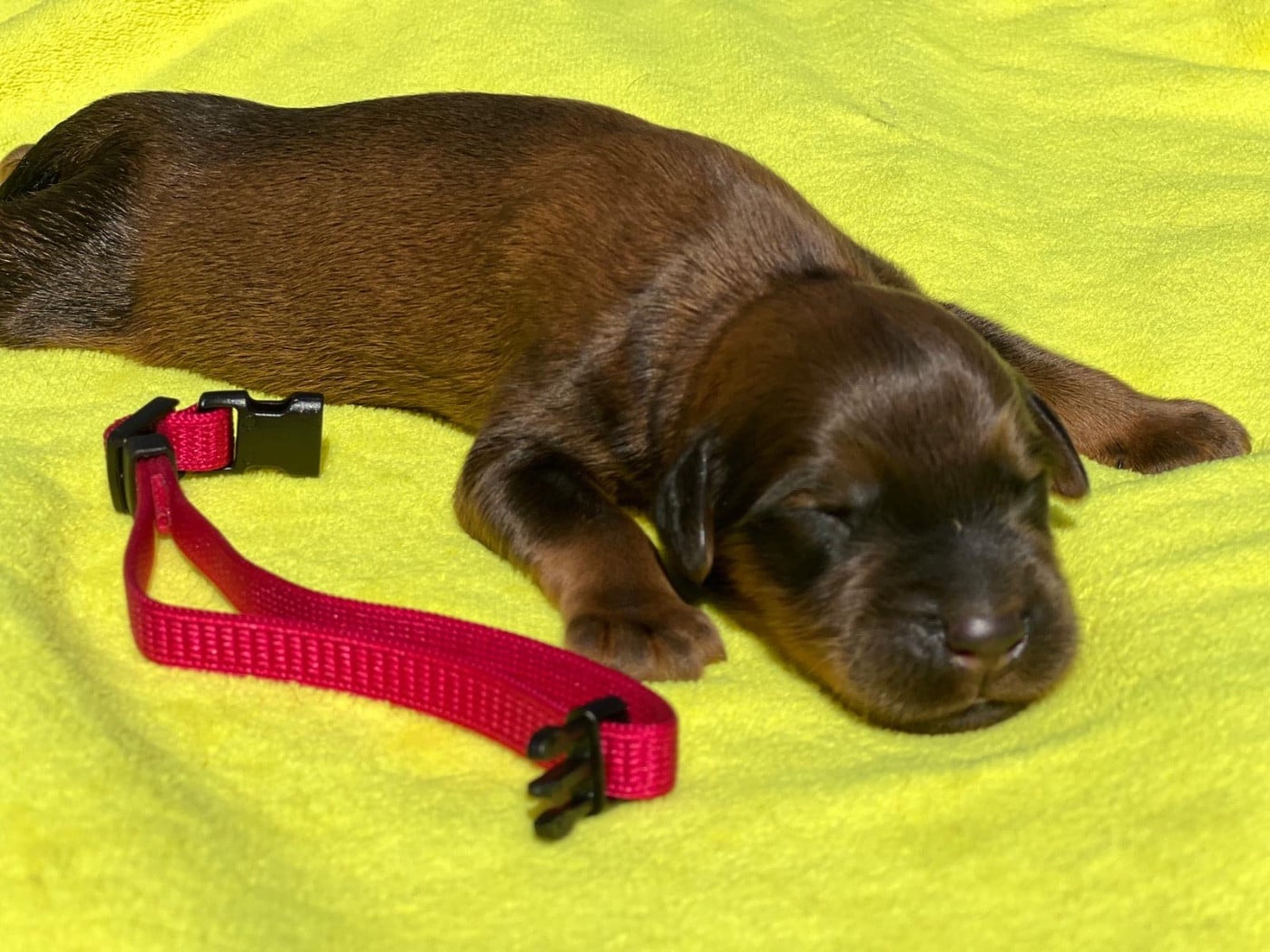 Boo keepsake signature