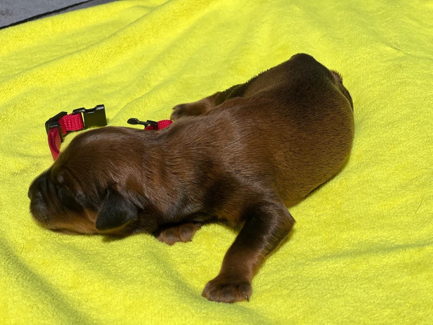 Boo keepsake signature