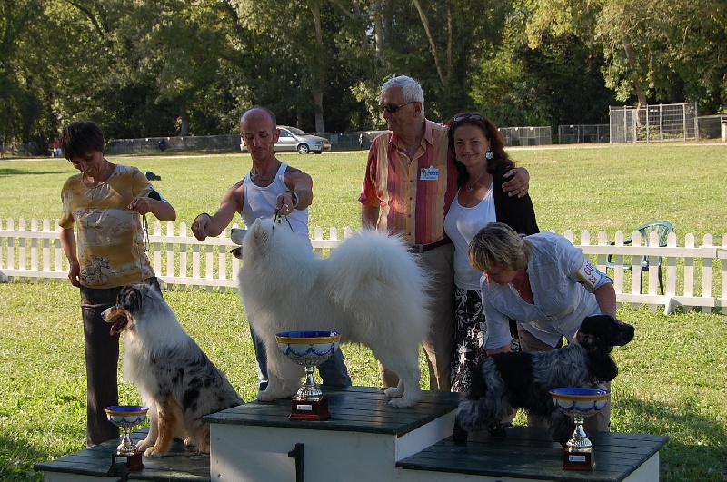 Publication : of Karasea