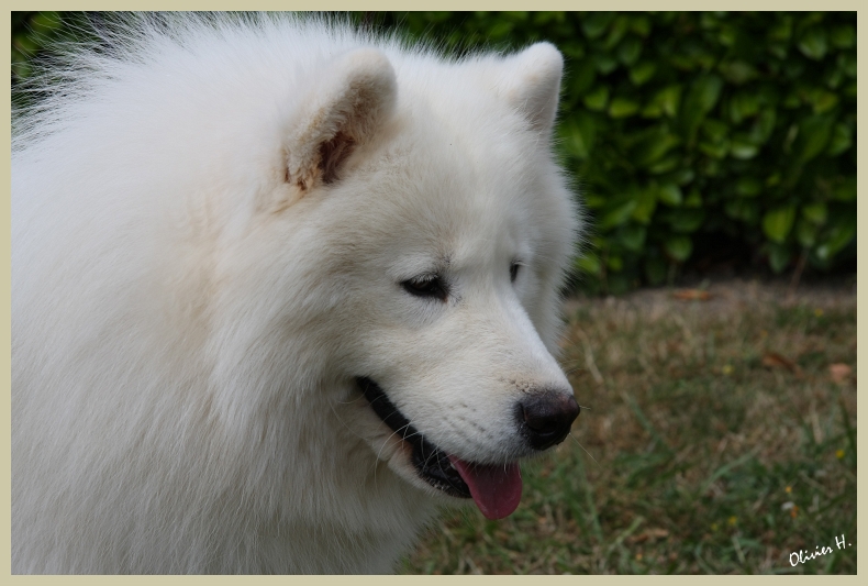 Publication : of Karasea