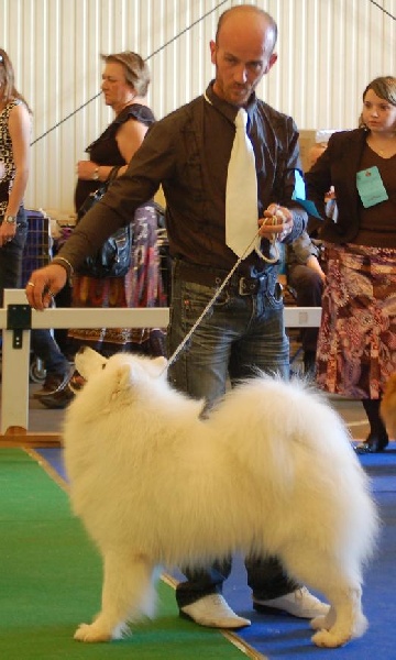 Publication : of Karasea