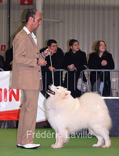 Publication : of Karasea