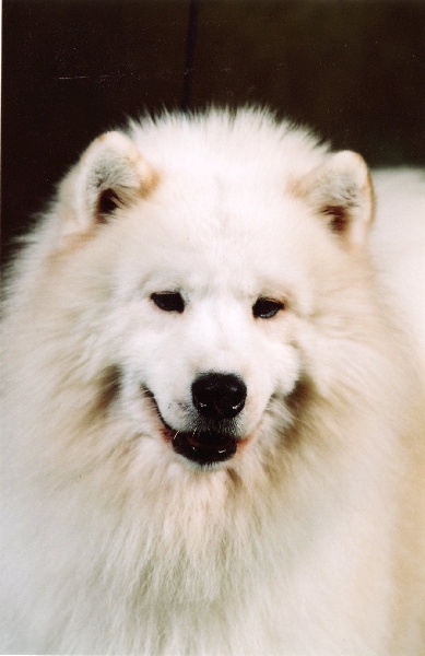 Publication : of Karasea